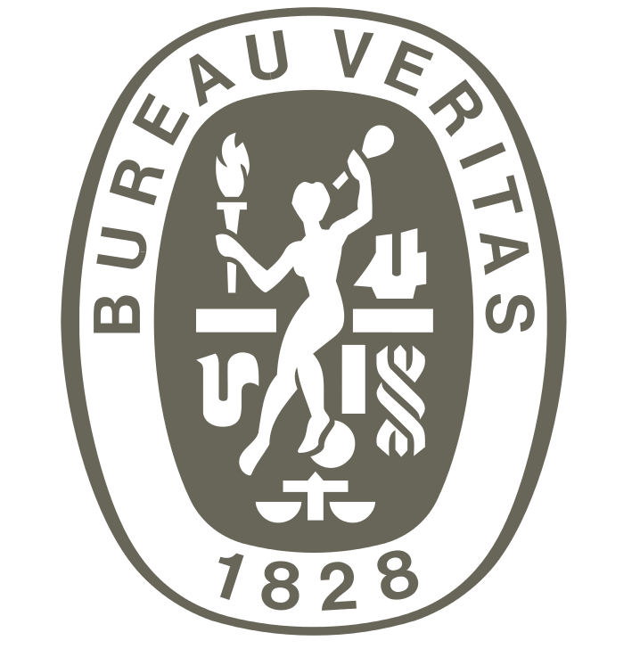 logo Bureau Veritas